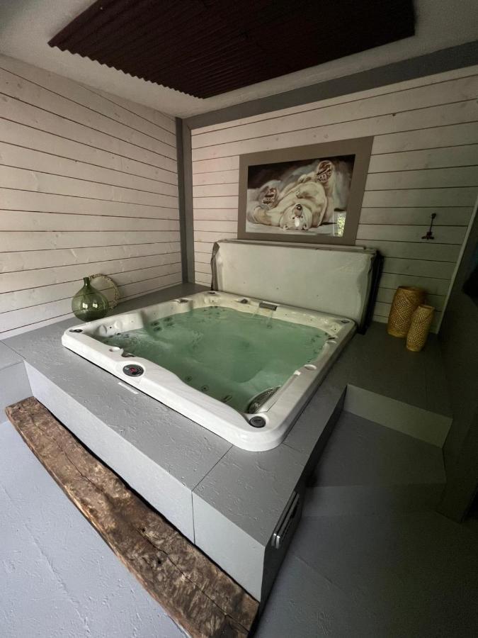 Les Chambres De Pauline Appartements Avec Climatisation Et Spa 알베르빌 외부 사진